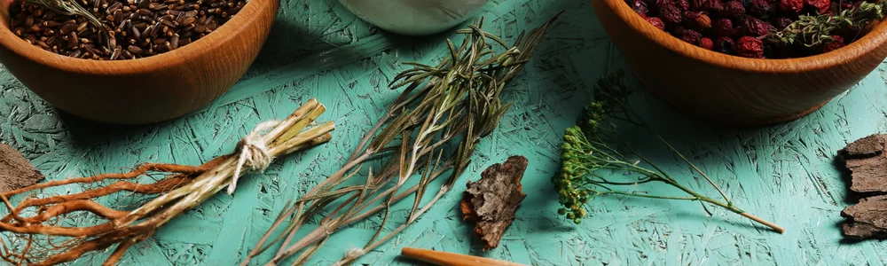 Nepal Ayurvedic Medical Council