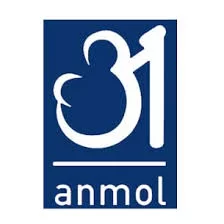 Anmol Consultancy Pvt.Ltd.