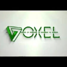 Voxel Architects and Engineers