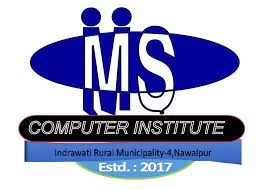 M.S Computer Institute