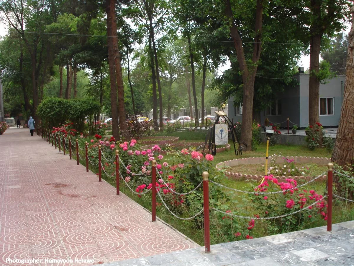 Kabul University of Medical Sciences (KUMS)
